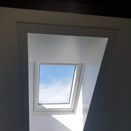 2021-07/81932923-575540567148211-6585684656606313507-n